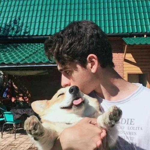 rừng hươu hoang dã