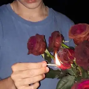 6686体育app初级作者Noah