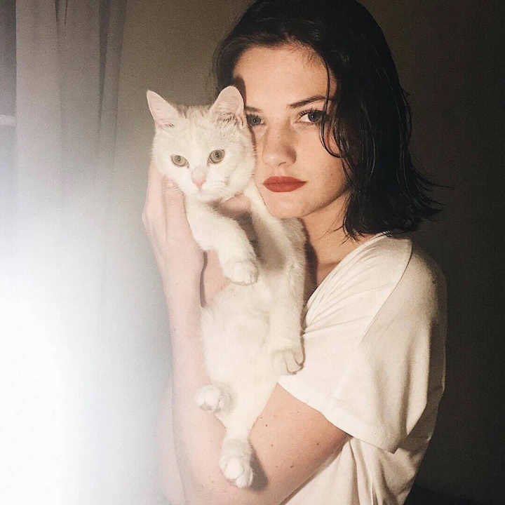 6686体育app签约作者Ivy