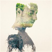 bay cùng những giấc mơ