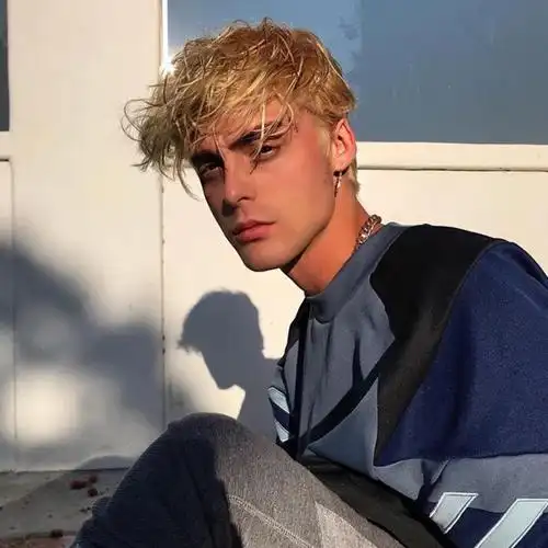 hoa hướng dương